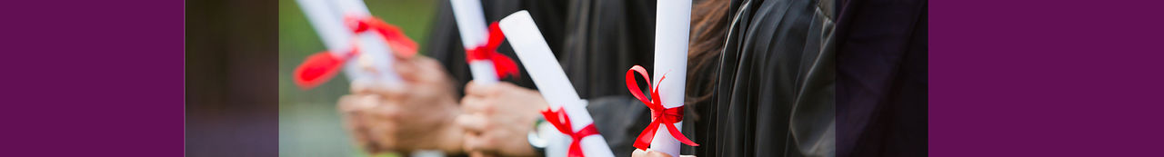 MBA ou Master spécialisé en commerce : lequel vous convient le mieux ?